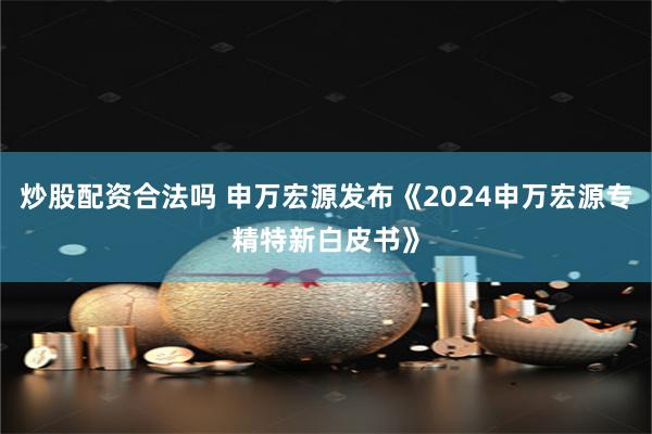 炒股配资合法吗 申万宏源发布《2024申万宏源专精特新白皮书》