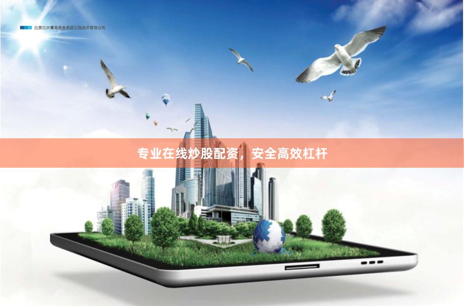 专业在线炒股配资，安全高效杠杆