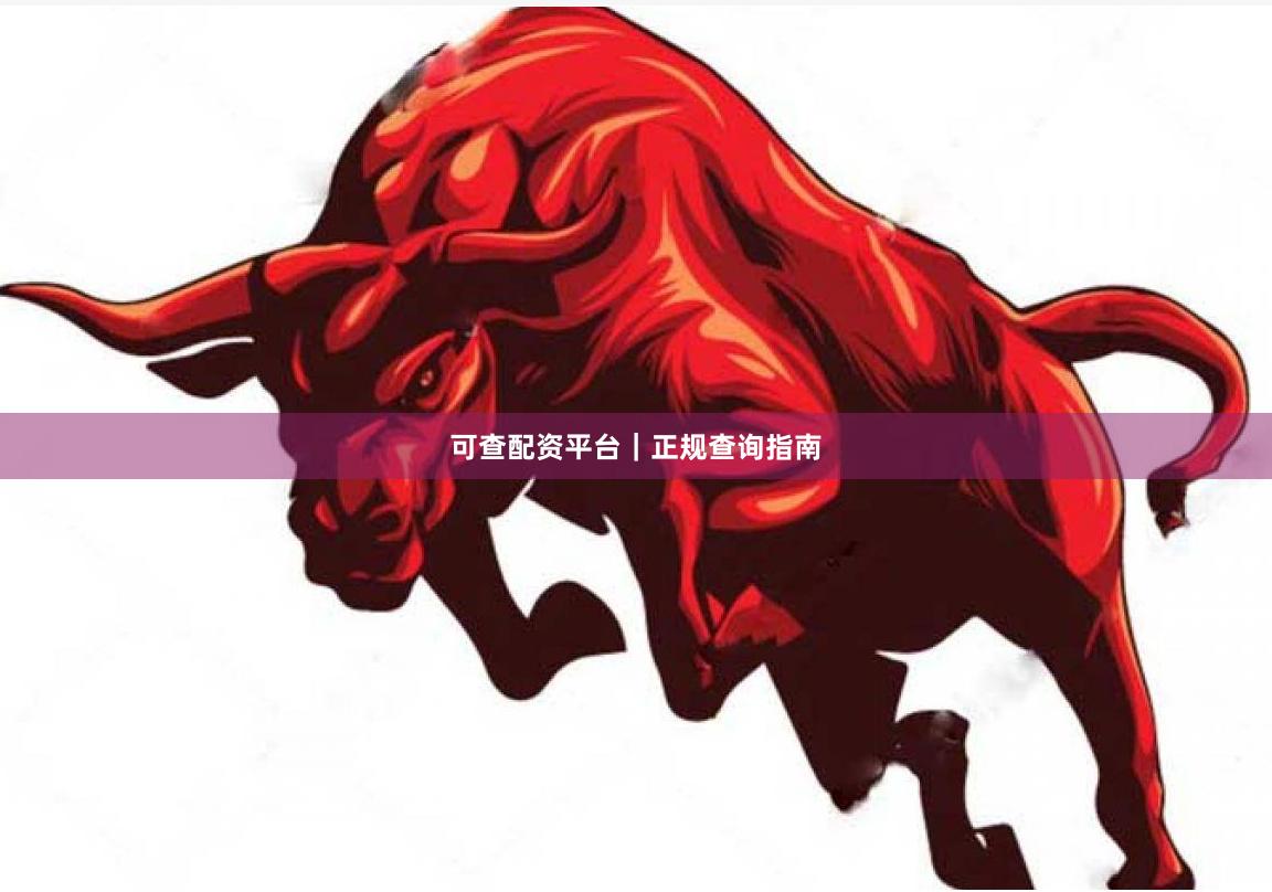 可查配资平台｜正规查询指南